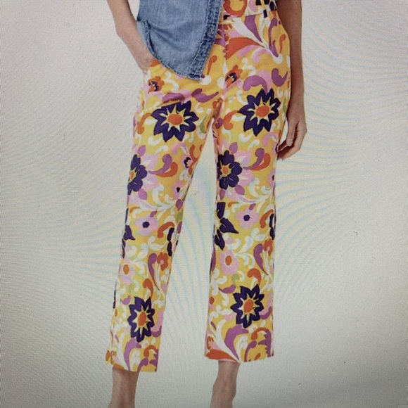 J Crew Pants - Picture 1 of 3